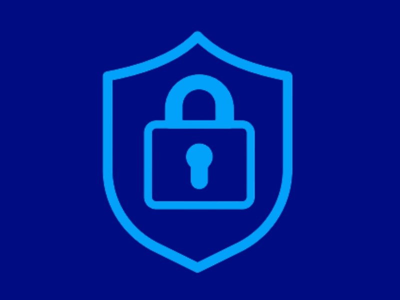 Mazimize Data Security