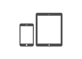 Mobile Devices Security Features