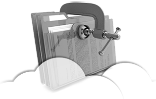 Audit Reports and Monitoring