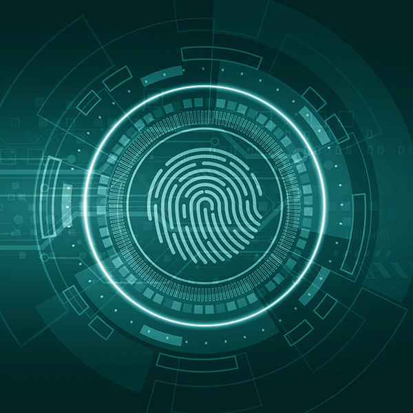 Rubrik Identity Recovery | DataSafeWorks.com