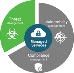 Vulnerability Management Services