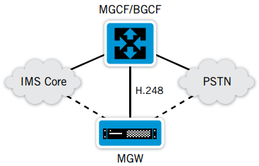 IMS Media Gateway Mode