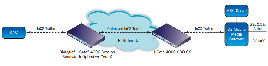 Figure 4. Next Generation Switching Network VoIP Traffic Optimization