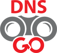 DNS Go