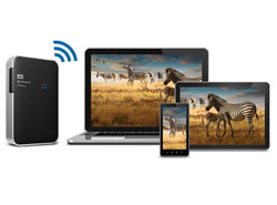 Back up or transfer photos and videos from your SD card.