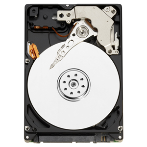 WD AV Digital Video 2.5-inch Hard Drive