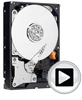 WD AV (3.5-inch)