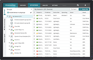 Discovery & Network Mapping