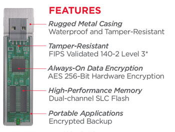 IronKey Basic S250 & D250 Features
