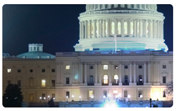 overview-government