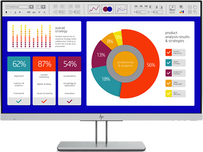 HP EliteDisplay E243p 23.8-inch Sure View Monitor
