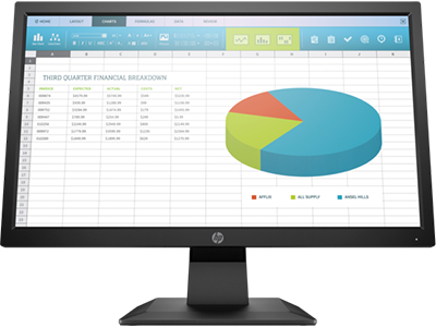 HP P204 19.5-inch Monitor