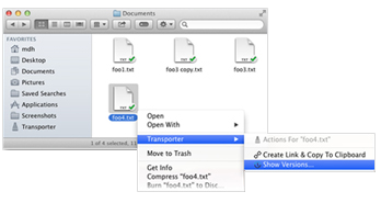 Transporter Versions for Safe Collaboration
