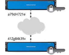 Complete Data Privacy
