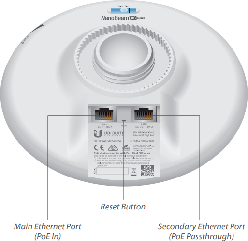 Back View Diagram