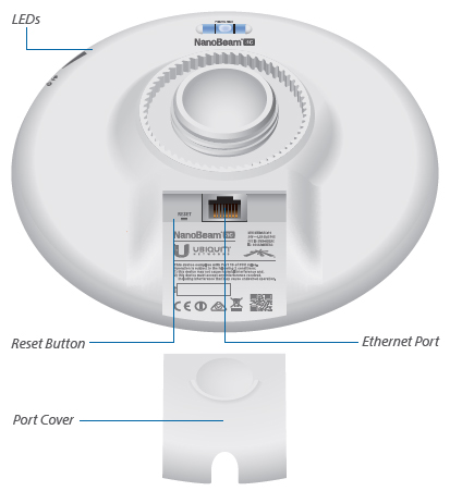 Back View Diagram