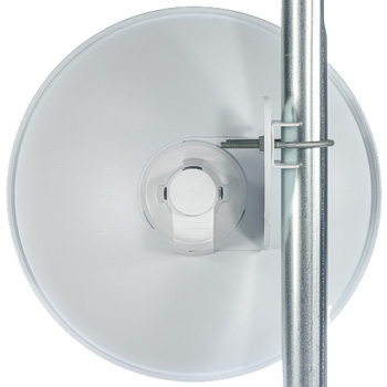 Back View with Pole