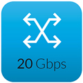 Switching Capacity