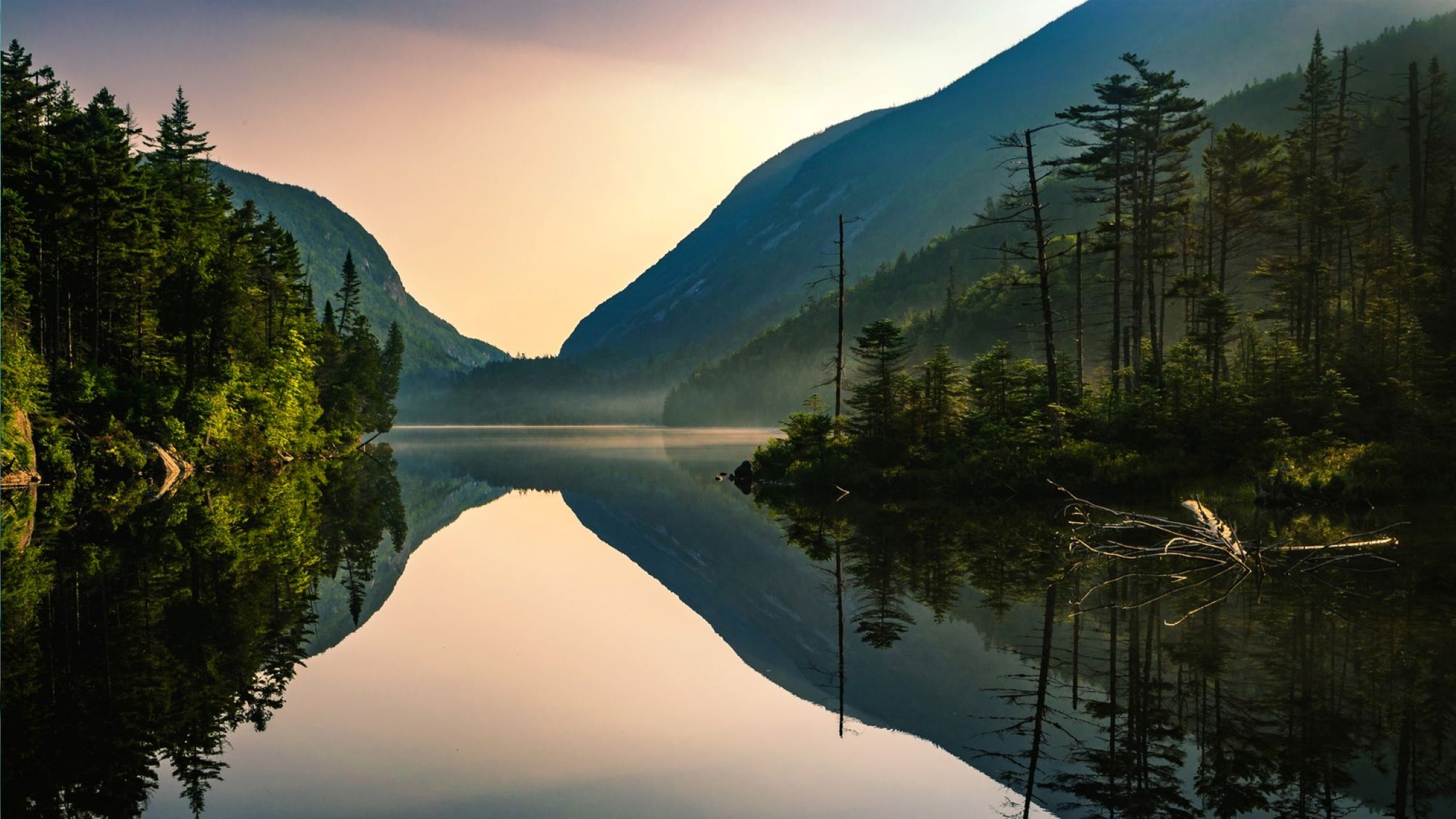Clear path forward with HPE networking expertise