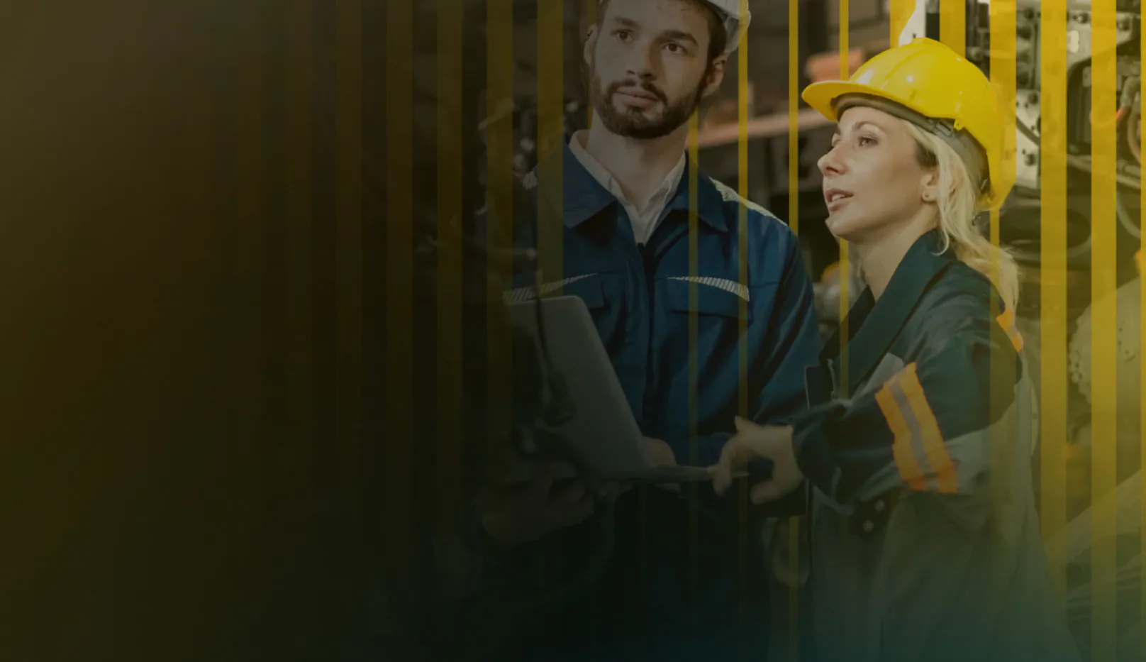 BorgWarner Case Study