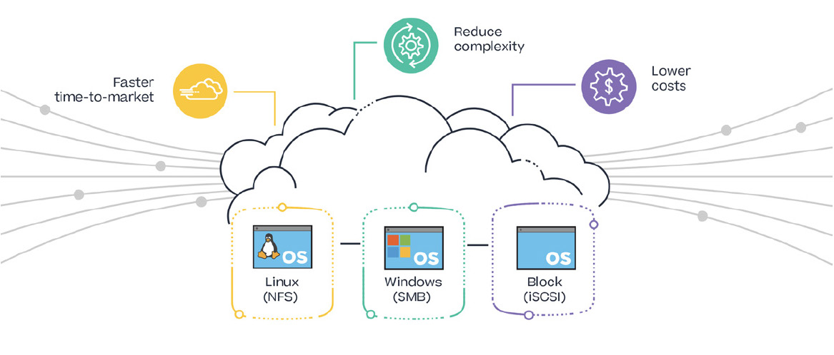 Get actionable reports