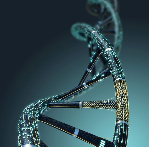 The Future of Healthcare