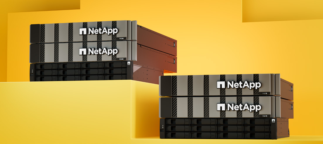 NetApp FAS Storage Arrays