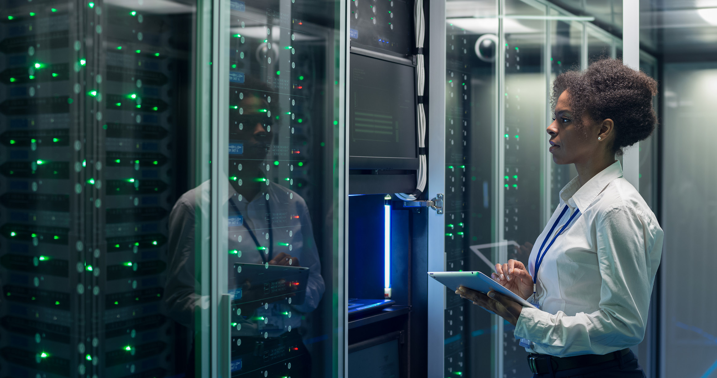 NetApp Security Assessment