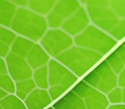 Data Security: Will Cyber Threats Scale Along with AI?