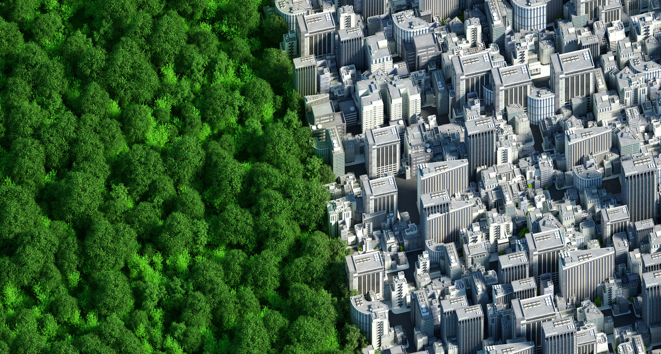 Unified Data Storage