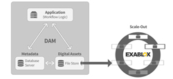 Digital Asset Management