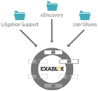 Litigation Support Solution