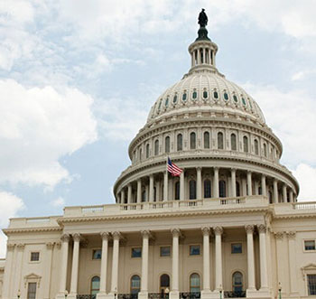 Government image