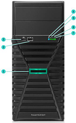 4LFF Front View Gen11