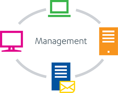 Management