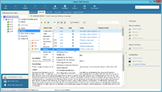 Self-service reporting for IaaS users