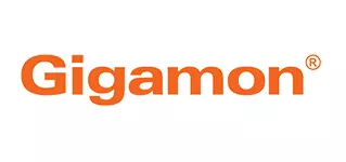 Gigamon Security Partner